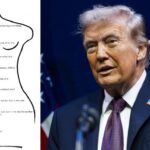 US Lawmakers Publish Alleged Donald Trump-signed Birthday Note To Jeffrey Epstein