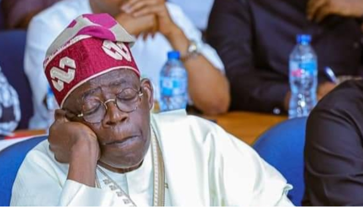 President Tinubu in a meeting