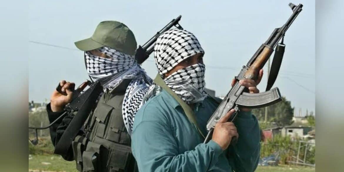 Armed men used as illustration